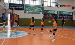 Haliliye'de Genç Sporcuların Voleybol Coşkusu: Şampiyon Belli Oldu
