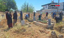 Harran'da Mezarlıklarda Kapsamlı Temizlik