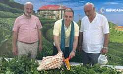 Şanlıurfa İle Rize Arasında Gönül ve Lezzet Köprüsü Kuruldu