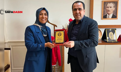 Şanlıurfa Birecik'te Muhtar Belediye Başkanını Ödüllendirdi Plaket Verdi