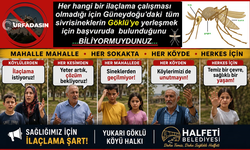 İlaçlamanın Yetersiz Olduğu Halfeti Göklü, Sivrisineklerin İsviçre’si Gibi !