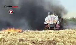 Şanlıurfa'da Anız Yangınında Alevlerin Arasında Kalan Su Tankeri Yandı
