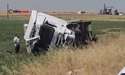 Şanlıurfa'da Tır, Şarampole Devrildi