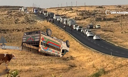Siverek-Çermik Yolunda Hayvan Taşıyan Pikap Devrildi