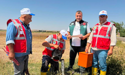 DSİ Ekipleri Suruç’ta Yer Altı Suyunu Yakından Takip Ediyor