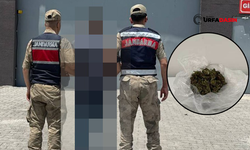 Şanlıurfa'da Şüpheyle Durdurulan Zehir Tacirinin Üzerinden Esrar Çıktı