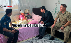 Şanlıurfa Suruç'ta 8 Sahipsiz Köpeğin Saldırdığı Kız Çocuğu Ölümden Döndü