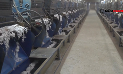 Şanlıurfa Harran'da İcralık Olan Fabrika Satışa Çıkarıldı