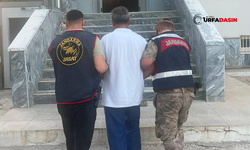 Şanlıurfa'da 13 Yıl Kesinleşmiş Hapis Cezası Bulunan Hükümlü Yakalandı