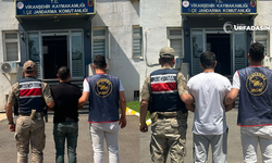 Şanlıurfa'da Hakkında Kesinleşmiş Hapis Cezası Bulunan 2 Firari Yakalandı