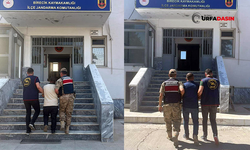 Şanlıurfa'da Aranan Hükümlüler, Jandarma Operasyonuyla Yakalandı