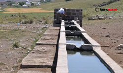 Şanlıurfa'da Hayvanların Su İçtiği Yalağa Düşen Çocuk, Hayatın Kaybetti