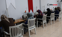 Haliliye’de Düzenlenen Kurslarda Kadınlara Meslek ve Eğitim Desteği