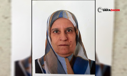 Şanlıurfa'da Kaybolan 66 Yaşındaki Kadın Aranıyor