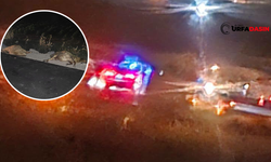 Akçakale-Harran Yolunda Trafik Kazası: 20 İvesi Koyun Telef Oldu