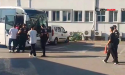 Patates Hatlarla 4 Milyon Liralık Dolandırıcılık: Şanlıurfa'dan Gözaltılar Var