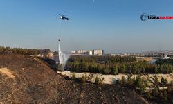 Şanlıurfa Orman Bölge Müdürlüğü Açıklama Yaptı