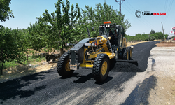 Siverek Hayvan Pazarı Yolu Yenilendi, Artık Daha Konforlu