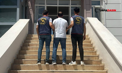Şanlıurfa'da Aranan Hırsızlık Hükümlüsü Suruç'ta Yakalandı
