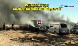 Şanlıurfa'da Yediemin Otoparkında Yangın: Araçlar Alevlere Teslim Oldu