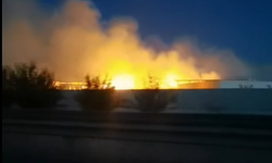 Şanlıurfa'da Hayvan Çiftliğinin Yem Deposunda Yangın
