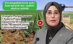 Yazmacı: Viranşehir’de 140 Bin Dekar Suyla Buluşuyor