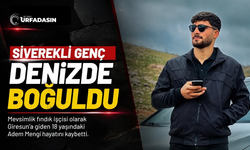 Şanlıurfa'ya, Gurbetten Sılaya Acı Haber