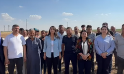 DEM Parti Şanlıurfa'da Ovaya İndi Harranlı Çiftçilerin Sorunlarını Dinledi