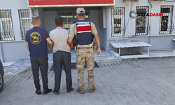 Şanlıurfa'da 10 Yıl Hapsi Bulunan Silah Kaçakçısı Jandarma Ekiplerince Yakalandı