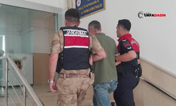 Şanlıurfa'da 6 Yıl 7 Ay Hapis Cezası Bulunan Hükümlü Yakalandı