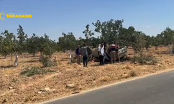Birecik-Halfeti Yolunda Kaza: Araç Fıstık Tarlasına Yuvarlandı