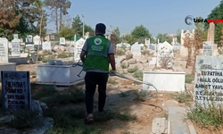 Harran Mezarlığında Başıboş Köpek Sorununa Müdahale Edildi
