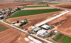 Harran Ovası'nda Sulamadan Dönen Sular Yeniden Tarıma Kazandırılıyor