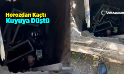 Viranşehir’de Kuyuya Düşen Genç İtfaiye Ekiplerince Kurtarıldı