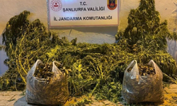 Şanlıurfa Halfeti ve Eyyübiye'de Narkotik Operasyonu:2 Gözaltı