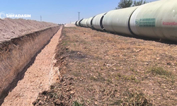 Şanlıurfa Harran Ovasında Dev Projede Hummalı Çalışma