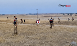 Şanlıurfa'da İki Aile Arasındaki Arazi Kavgasında Bilanço Ağır Oldu