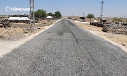 Viranşehir’de Kırsal Yollar Yenilenerek Güvenli Hale Getiriliyor