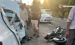 Şanlıurfa Harran'da Otomobille Motosiklet Çarpıştı: 1 Yaralı