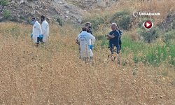 Şanlıurfa'da Kötü Koku Gelen Tarlada Bir Kişi Ölü Bulundu