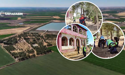 Viranşehir Sulutepe Mesire Alanı Yaşanılır Bir Hale Getiriliyor