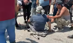 Birecik Urfa Kapısında Trafik Kazası: Motosiklet Sürücüsü Yaralandı