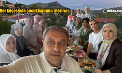 Şanlıurfa Valisi Hasan Şıldak Doğup Büyüdüğü Köyüne Gitti