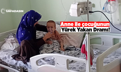 Viranşehirli Anne İle Çocuğunun Feryadı Bu Kez Fatma Şahin Değil Urfa Duysun
