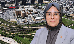Milletvekili Cevahir Asuman Yazmacı Duyurdu: Şanlıurfa’ya 511 Doktor Ataması Yapıldı