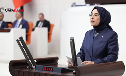 TBMM Genel Kurulunda Konuşan Yazmacı:Türkiye’nin Dününü Acılar Yazmış Olabilir Bugününü Demokrasiyle Yazacağız