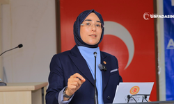 Yazmacı; Viranşehir-Şanlıurfa Yolu Ve Hastane Eksiklikleri İçin Elimden Geleni Yapacağım