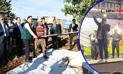 Hilvan'da Badem Hasat Festivali Düzenlendi