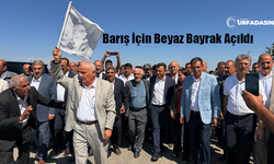 Şanlıurfa Suruç'ta Şahin Ve Yaşarsoy Aileleri Arasındaki Husumet Son Buldu