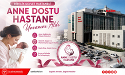 Şanlıurfa'da İlçe Hastanesi “Anne Dostu Hastane” Unvanı Aldı